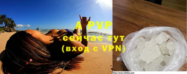 прущие грибы Богородицк