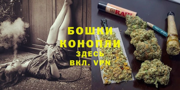 прущие грибы Богородицк