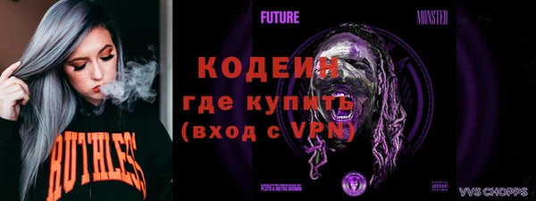 прущие грибы Богородицк