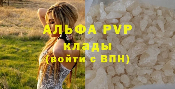 прущие грибы Богородицк