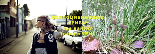 прущие грибы Богородицк