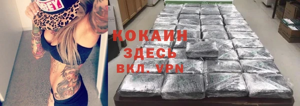 прущие грибы Богородицк