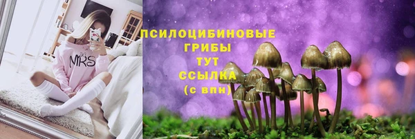 прущие грибы Богородицк