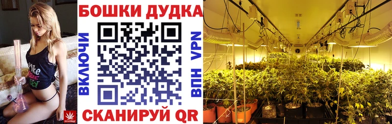 Каннабис Ganja Юрьевец